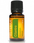 Cilantro Essential Oil