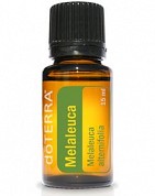 Melaleuca Essential Oil