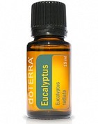 Eucalyptus Essential Oil